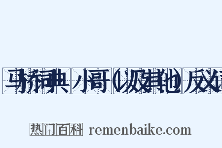 马桥词典·小哥（以及其他）反义词是什么意思的图片